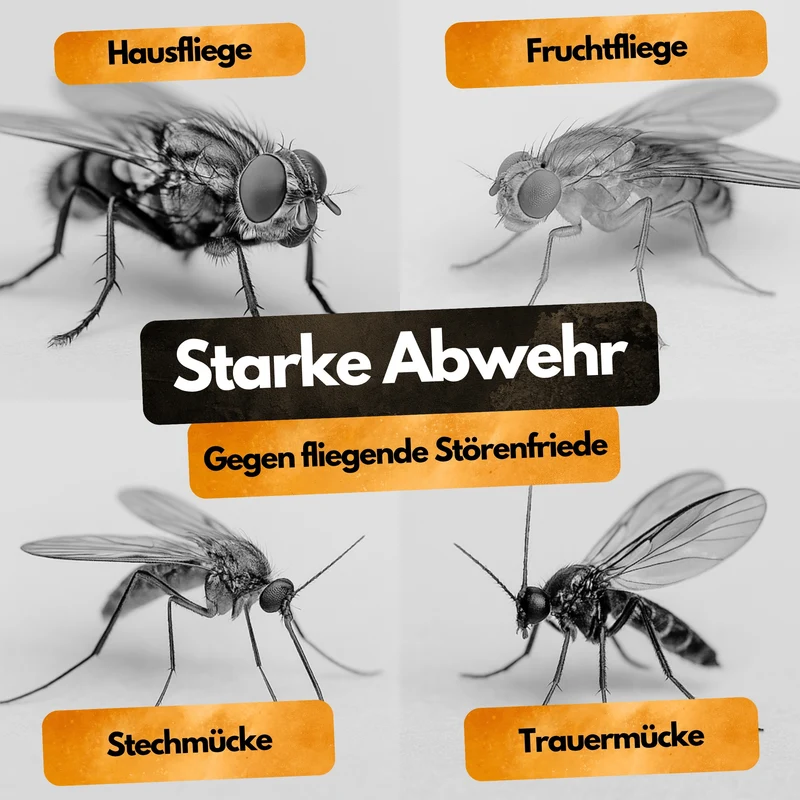 Fliegen/Mücken Insektizid! – Insekten Ex Kanister – 5L – Anwendungsfertig