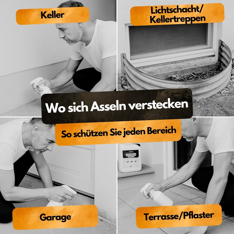 Asseln Insektizid! – Insekten Ex Kanister – 5L – Anwendungsfertig