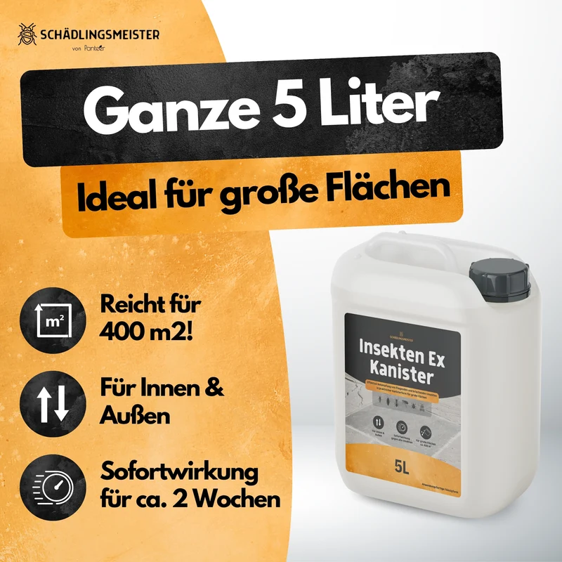 Schaben Insektizid! – Insekten Ex Kanister – 5L – Anwendungsfertig