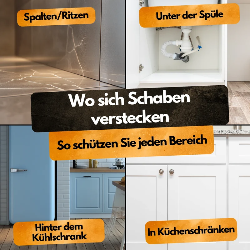 Schaben Insektizid! – Insekten Ex Kanister – 5L – Anwendungsfertig