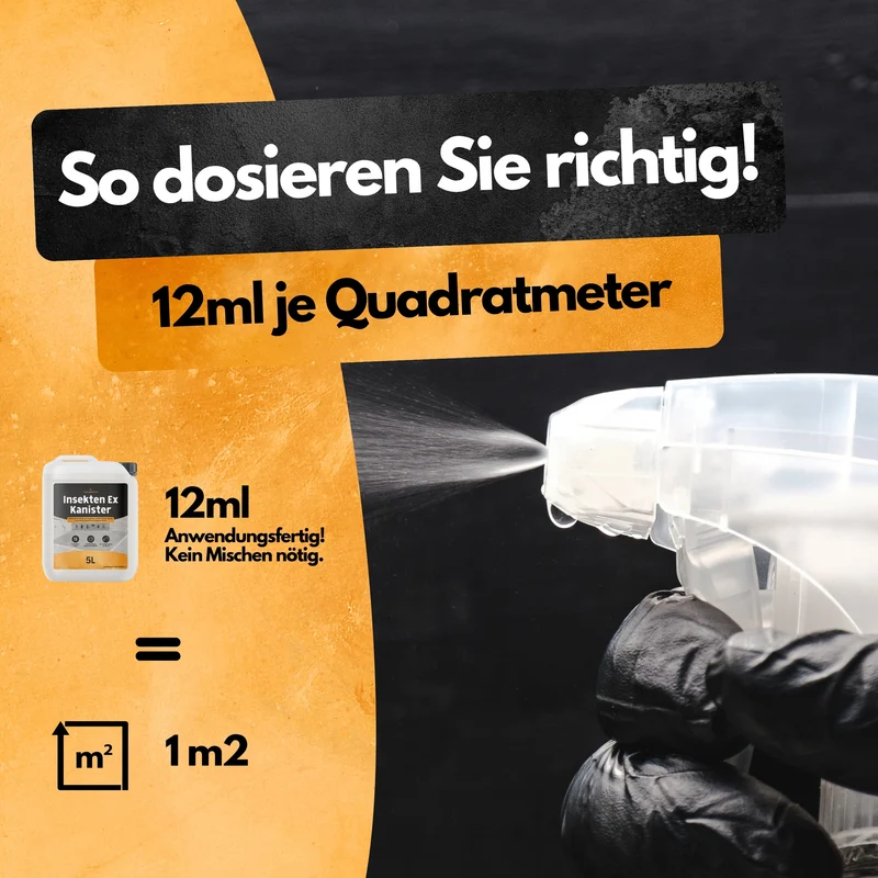 Spinnen Insektizid! – Insekten Ex Kanister – 5L - Anwendungsfertig