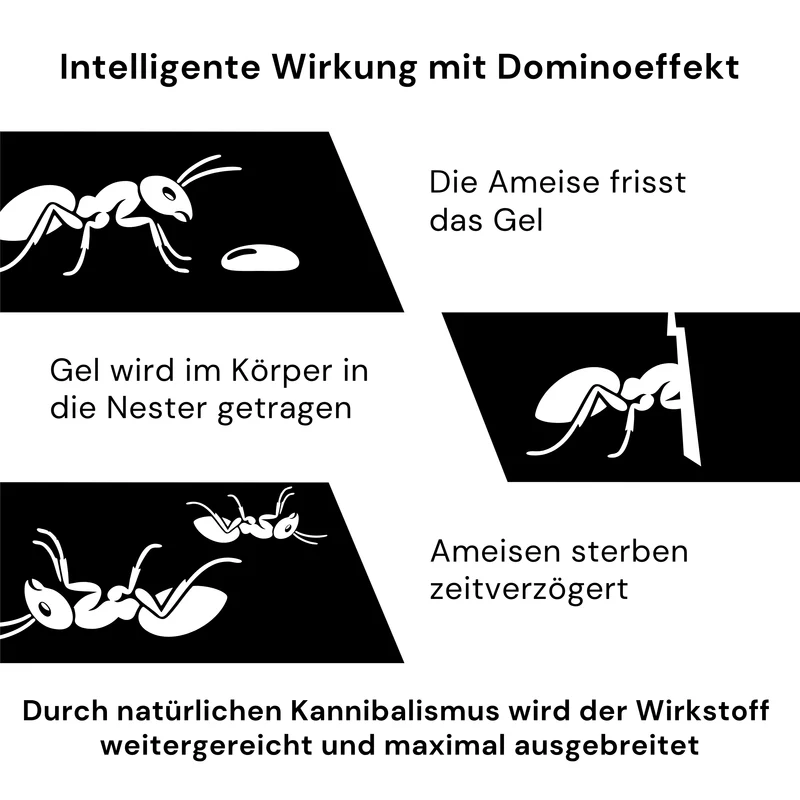 Advion Ameisengel - 30 g Kartusche