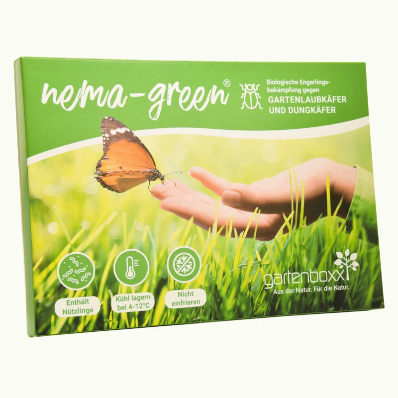 Nema-Green Nematoden gegen Gartenlaubkäfer, Dungkäfer