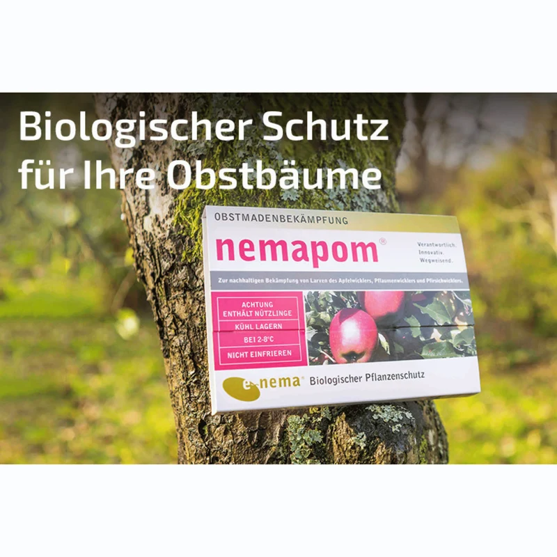 nemapom - Nematoden gegen Apfelwicklerlarven
