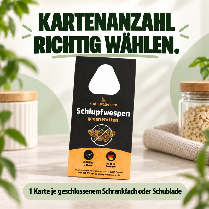 Schlupfwespen gegen Lebensmittelmotten - EINZELLIEFERUNG