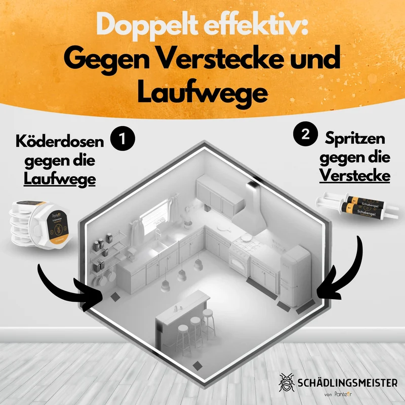 Schaben Komplettlösung - 2 x 10g Schabengel und 5 XXL Köderdosen (AMP 9 RB)