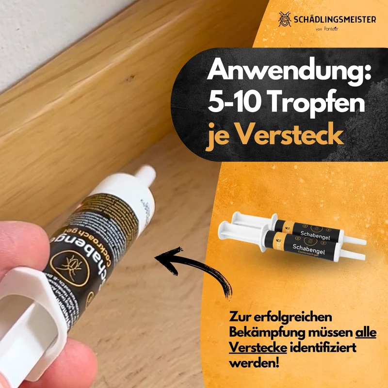 Schaben Komplettlösung - 2 x 10g Schabengel und 5 XXL Köderdosen (AMP 9 RB)