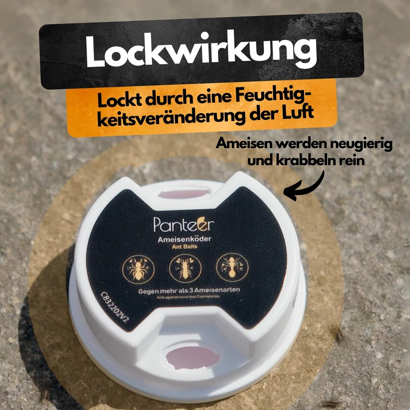 Ameisenköder Dose mit Nestwirkung – gegen alle Ameisenarten – für innen & außen – starker Lockstoff