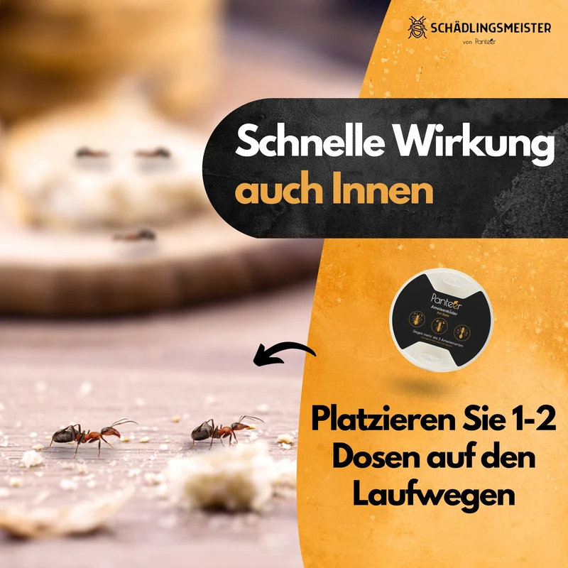 Ameisenköder Dose mit Nestwirkung – gegen alle Ameisenarten – für innen & außen – starker Lockstoff