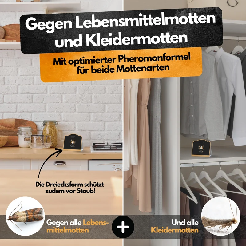 Mottenfalle – 6 Stück – Lebensmittel- und Kleidermotten-Monitoring
