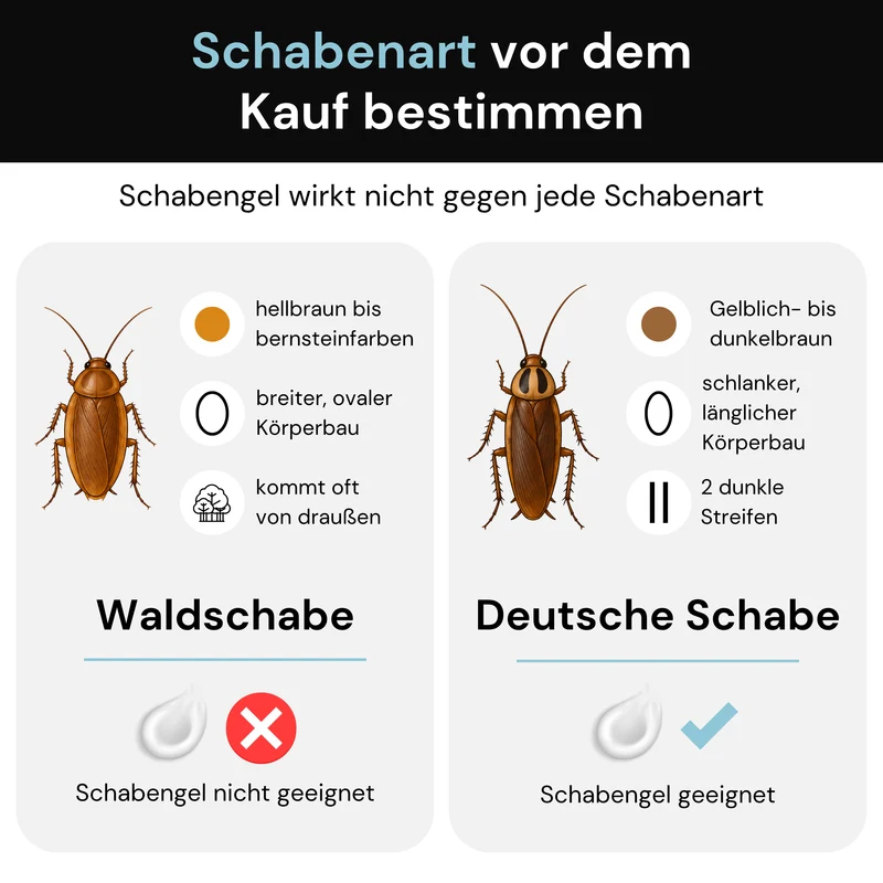 Advion Schabengel - auch gegen Silberfischchen & Papierfischchen - 30 g Kartusche