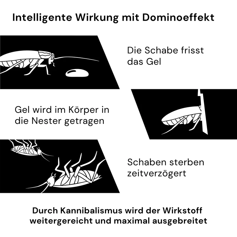 Advion Schabengel - auch gegen Silberfischchen & Papierfischchen - 30 g Kartusche