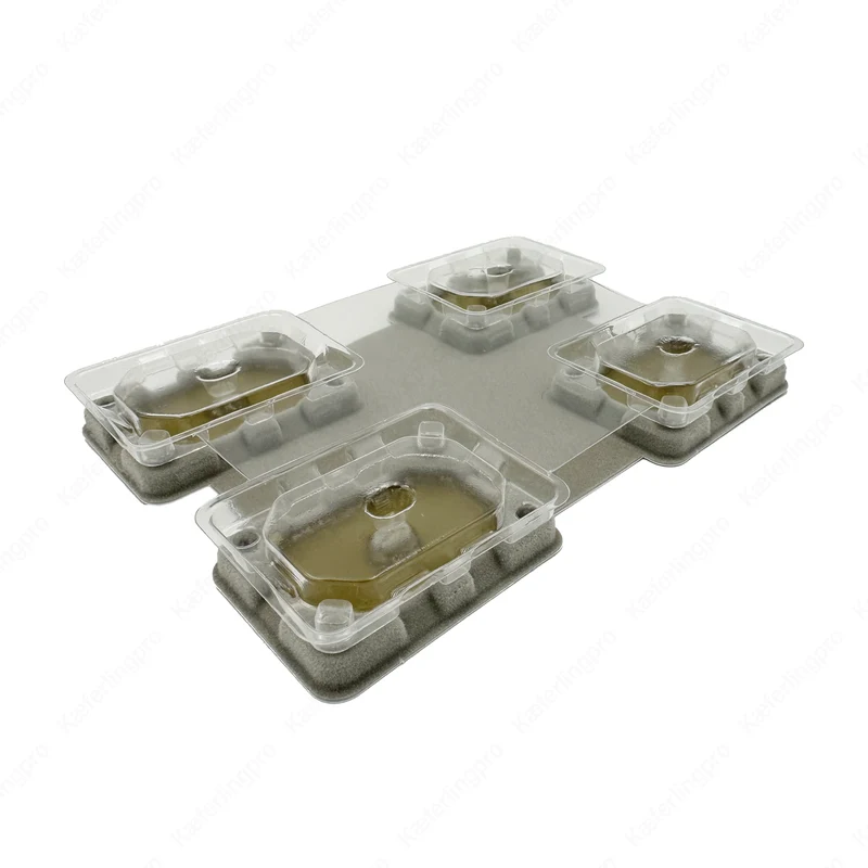 Catchmaster Bettwanzen Monitore BDS-SLDR96 - 96 Stück