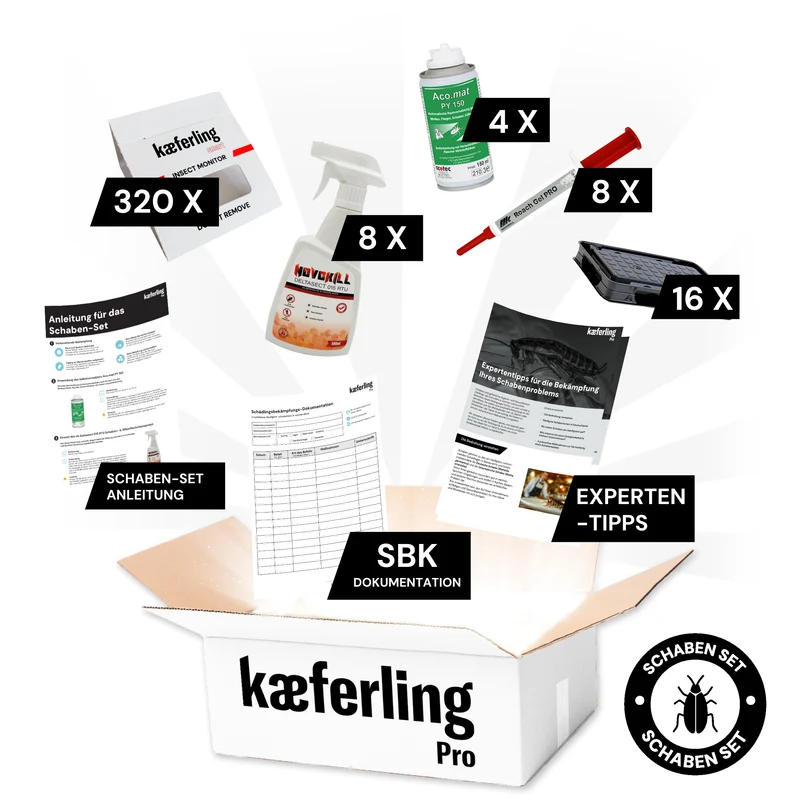 Kaeferling Pro Schaben-Set – Extra Large