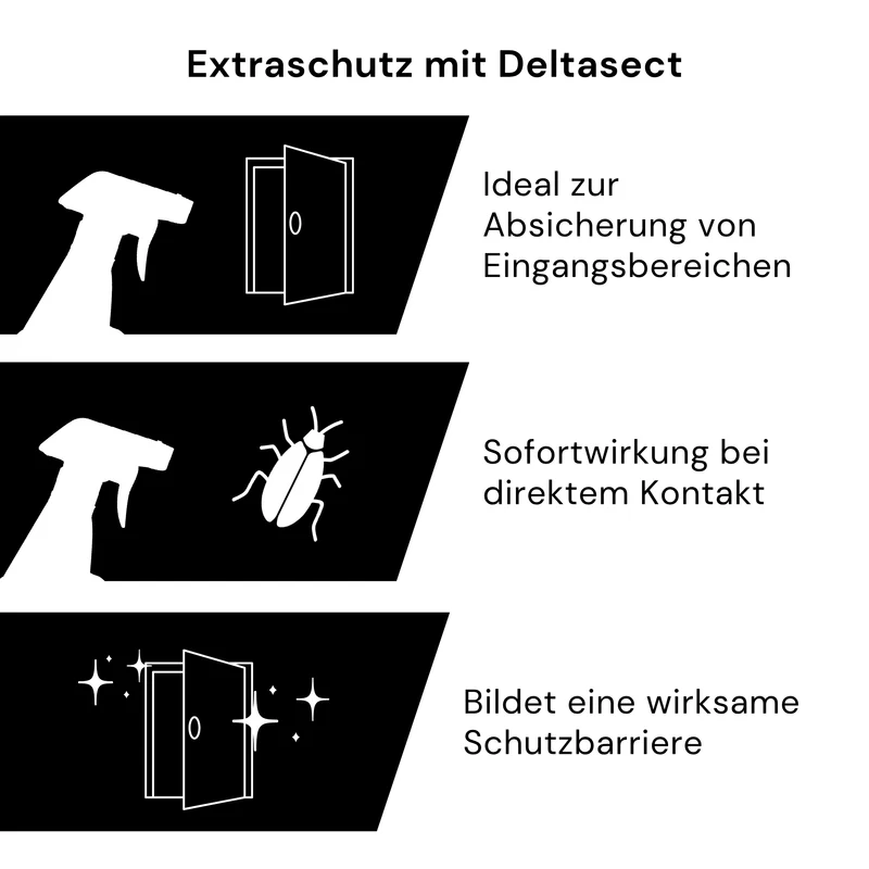 Kaeferling Pro Schaben-Set - Medium