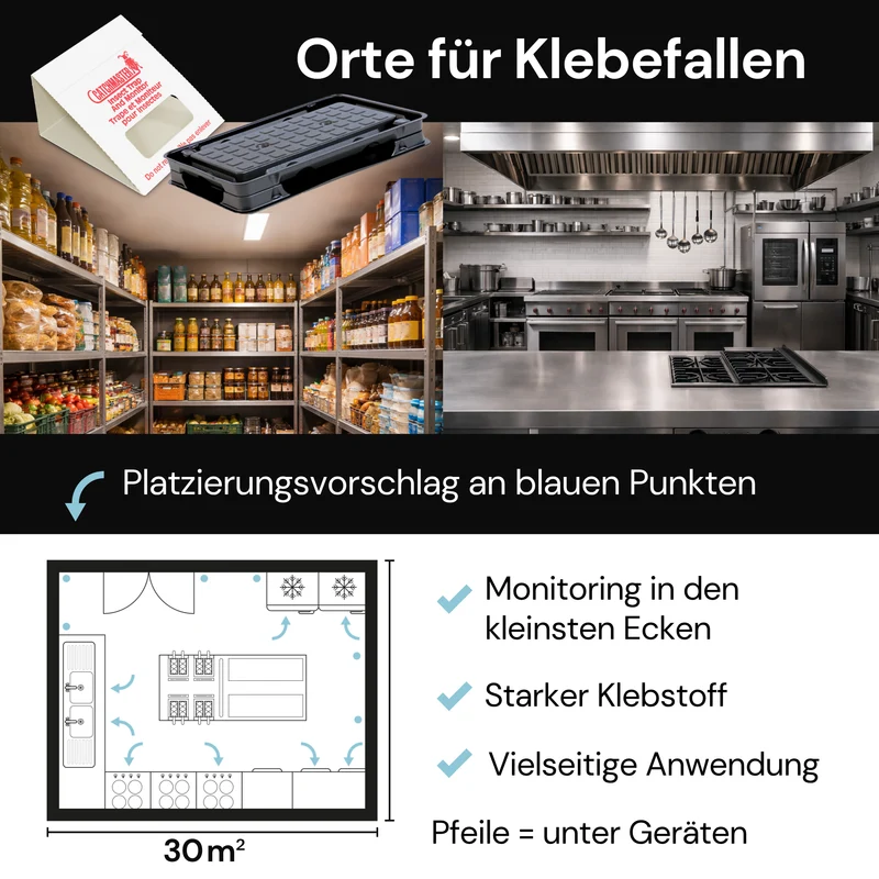 Kaeferling Pro Schaben-Set - Medium