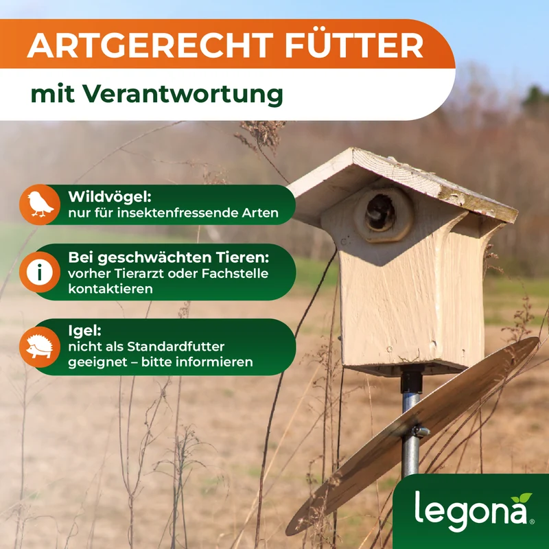 Lebende Mehlwürmer
