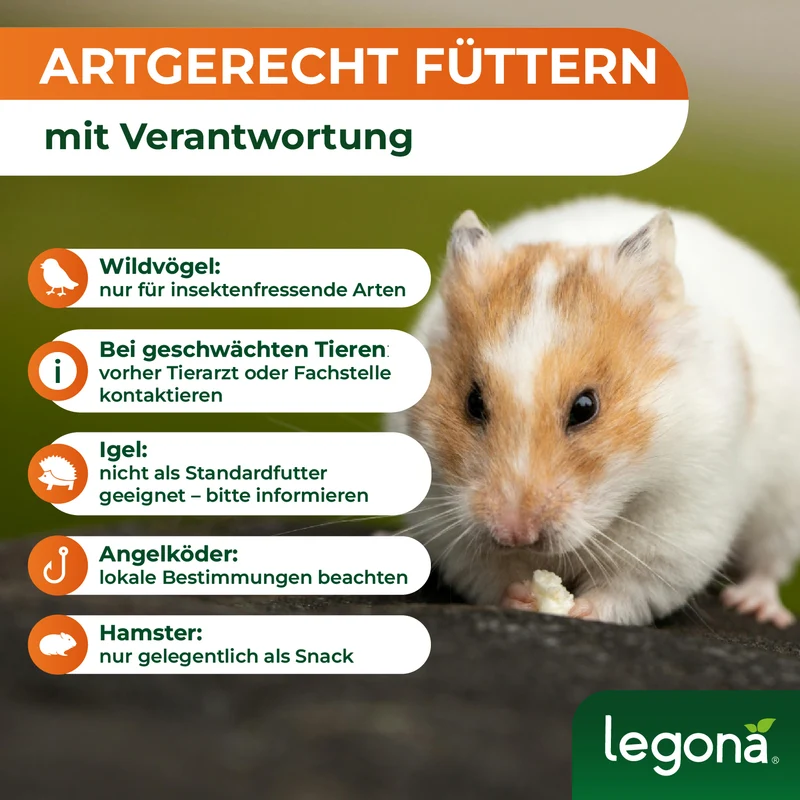 Getrocknete Mehlwürmer