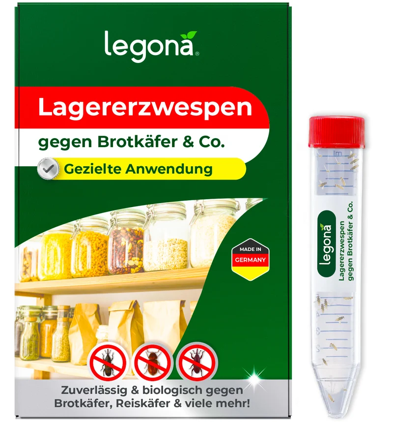Lagererzwespen gegen Brotkäfer, Reiskäfer & Tabakkäfer