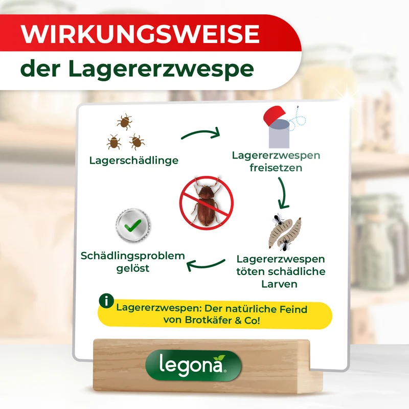 Lagererzwespen gegen Brotkäfer, Reiskäfer & Tabakkäfer