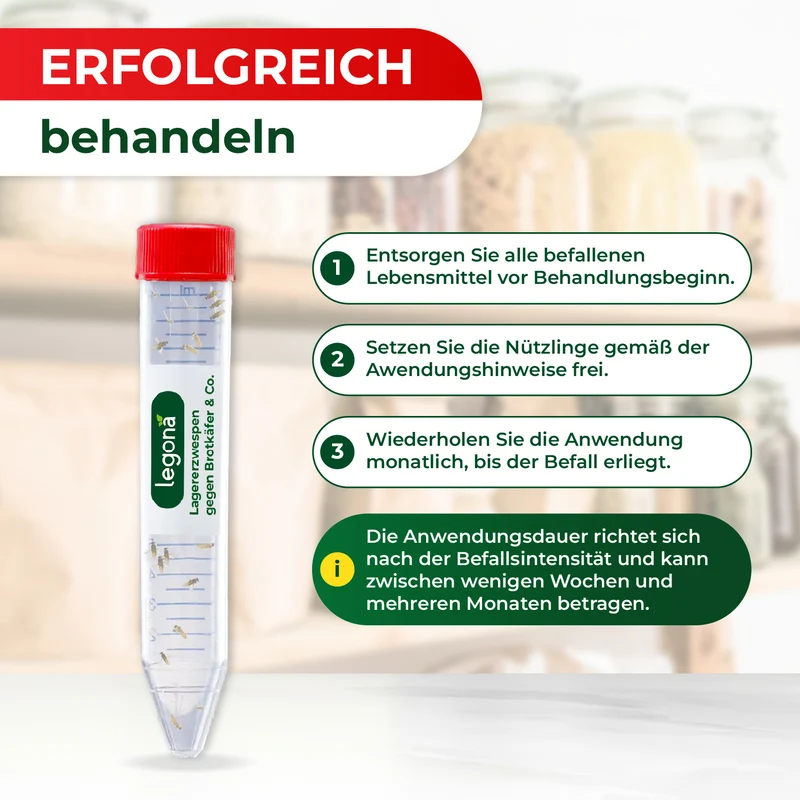 Lagererzwespen gegen Brotkäfer, Reiskäfer & Tabakkäfer