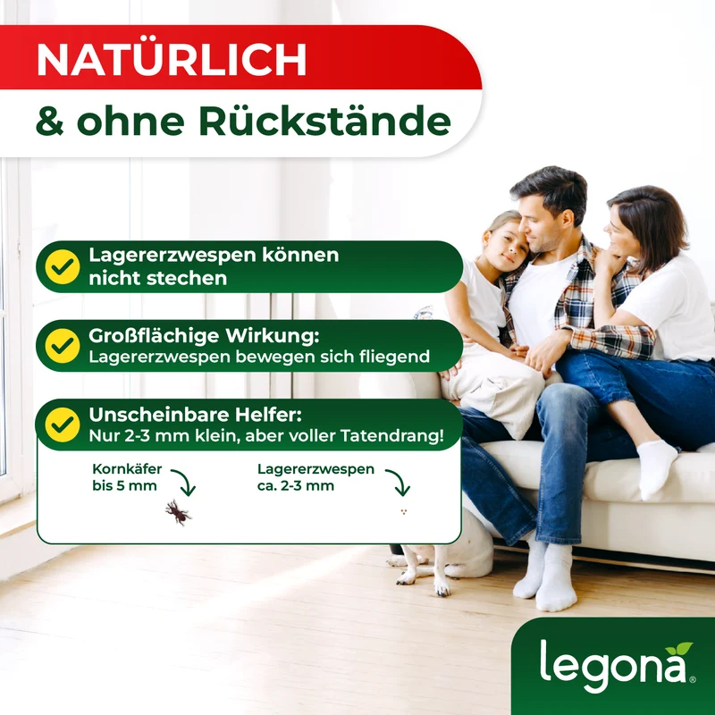 Lagererzwespen gegen Brotkäfer, Reiskäfer & Tabakkäfer