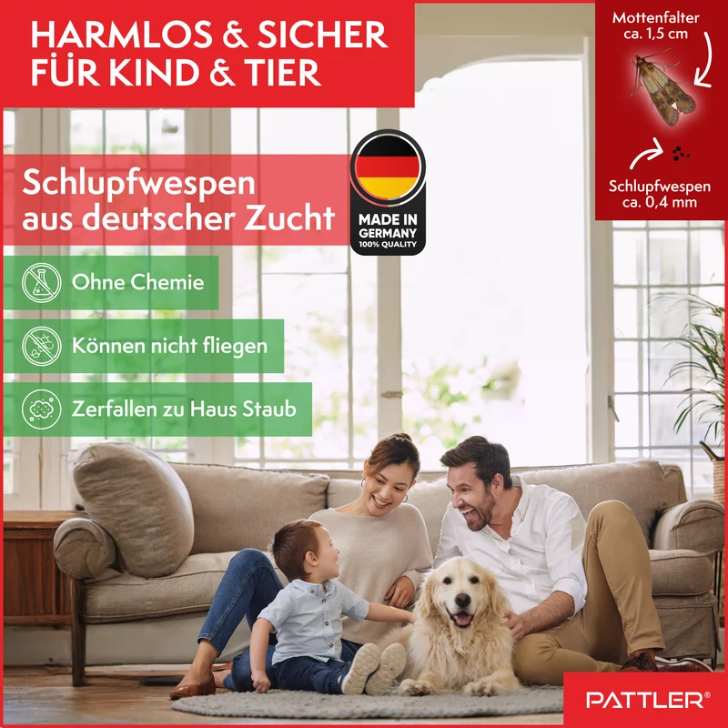 Schlupfwespen gegen Kleidermotten