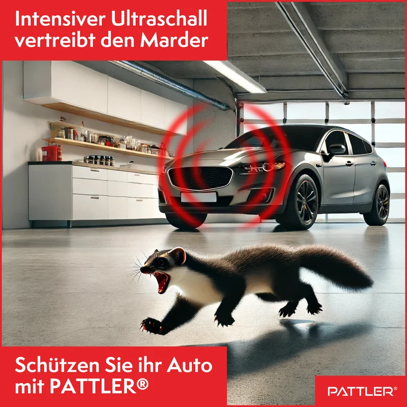 Marderschreck Auto