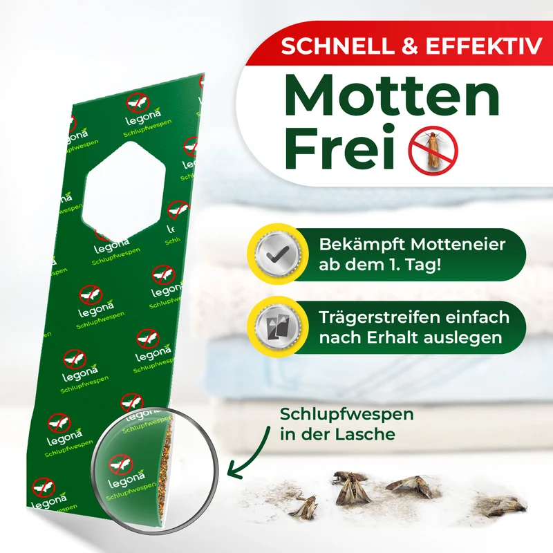 Schlupfwespen gegen Kleidermotten (5-fach Lieferung)