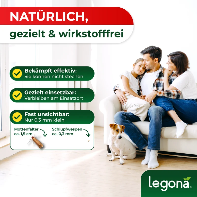 Schlupfwespen gegen Kleidermotten (5-fach Lieferung)