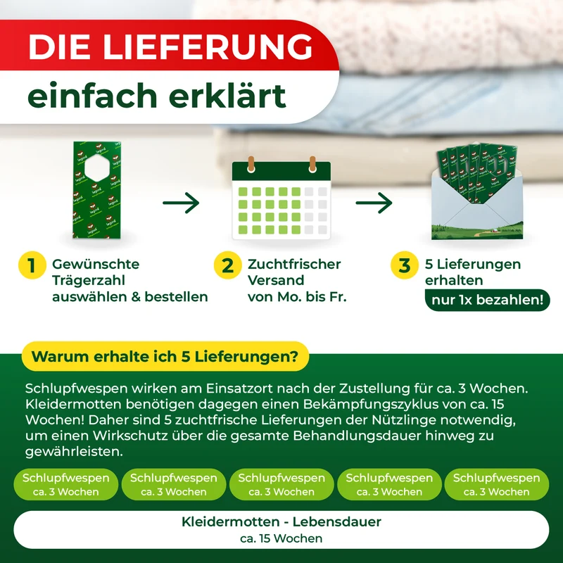 Schlupfwespen gegen Kleidermotten (5-fach Lieferung)