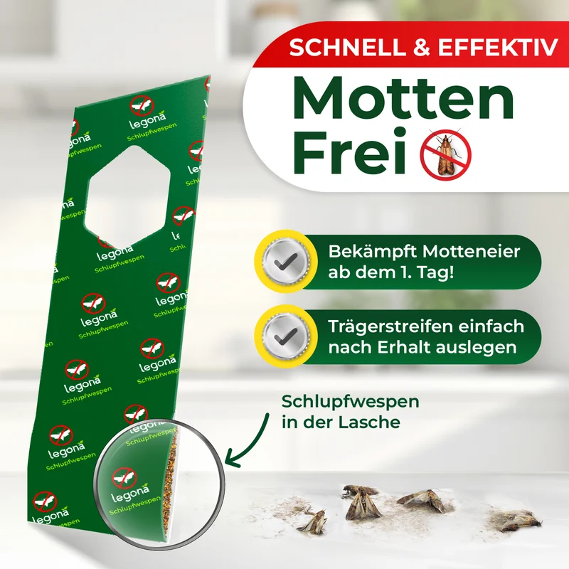Schlupfwespen gegen Lebensmittelmotten (3-fach Lieferung)