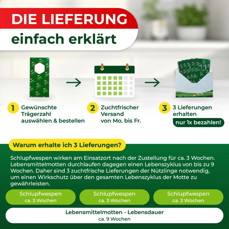 Schlupfwespen gegen Lebensmittelmotten (3-fach Lieferung)