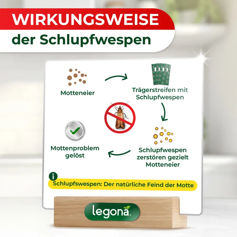 Schlupfwespen gegen Lebensmittelmotten (3-fach Lieferung)