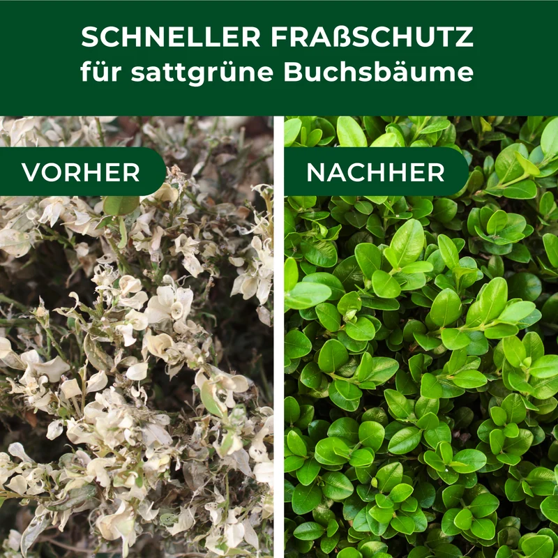 XenTari Zünslerfrei & Raupenfrei