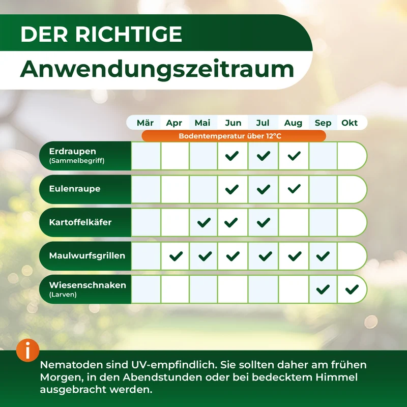 SC-Nematoden gegen Maulwurfsgrillen und Wiesenschnaken
