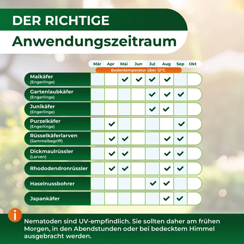 HB-Nematoden gegen Dickmaulrüssler und Engerlinge