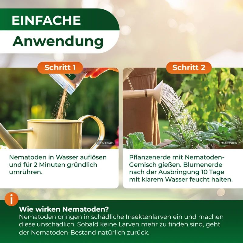 SF-Nematoden gegen Trauermücken und Rüsselkäfer