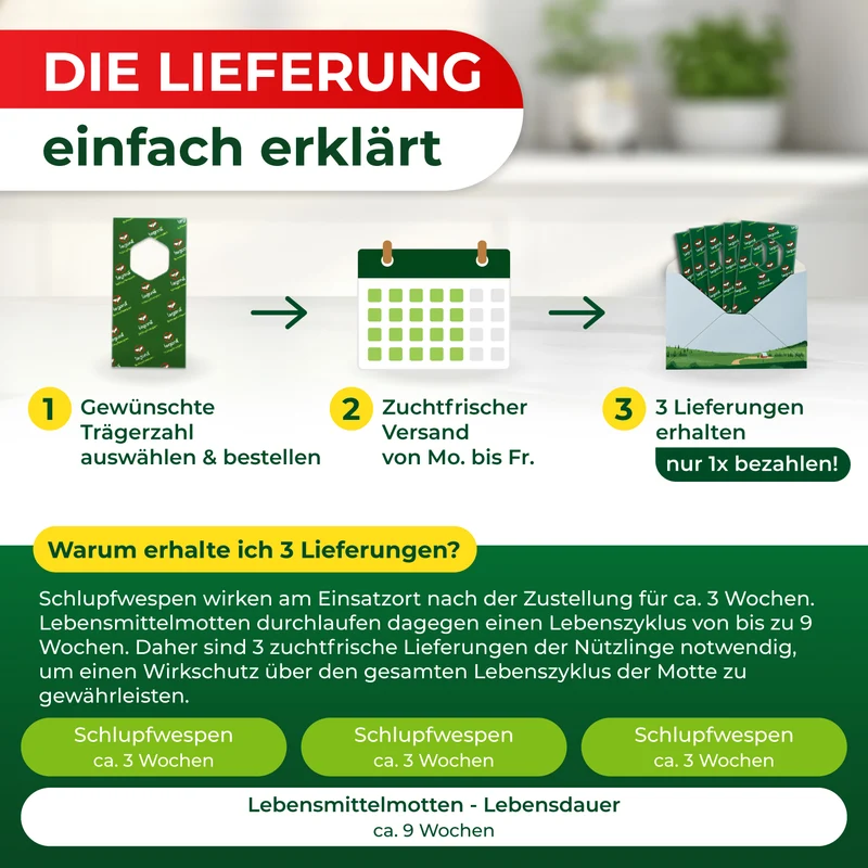 Schlupfwespen gegen Lebensmittelmotten