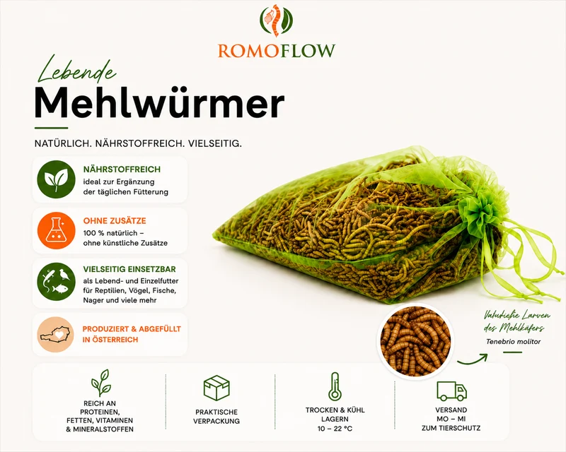 Mehlwürmer lebend (500g - 1000g)