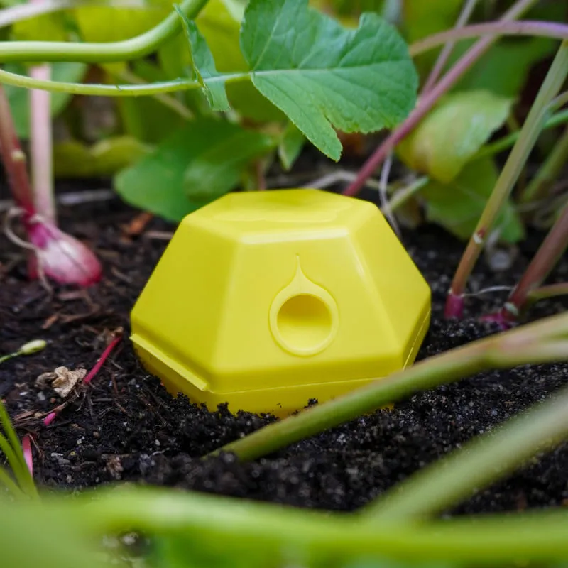 Limax Trap – gegen Schnecken (4 Stück)