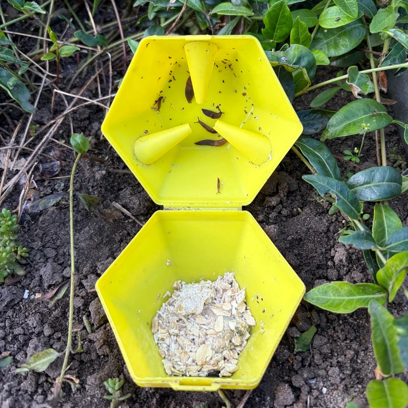 Limax Trap – gegen Schnecken (4 Stück)
