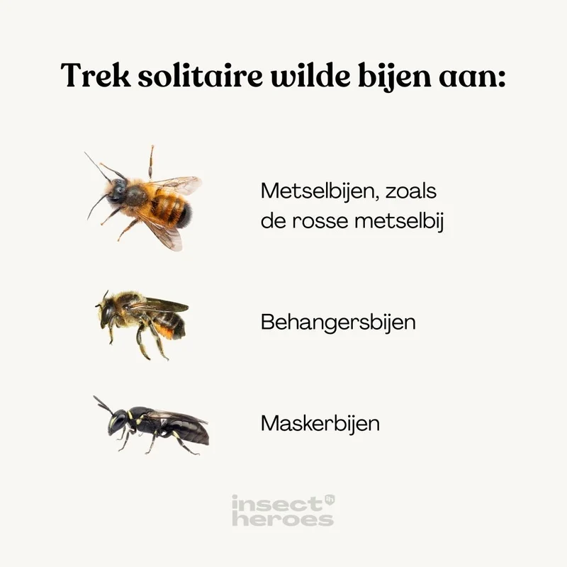 Bienenhotel