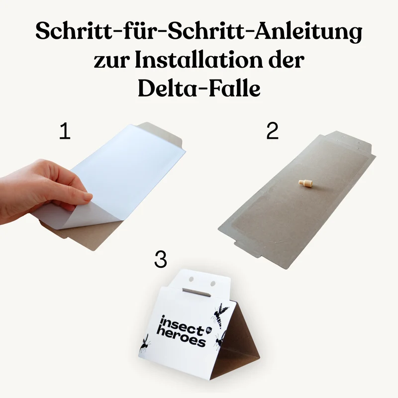 Delta-Falle und Lockstoff - gegen Lebensmittelmotten