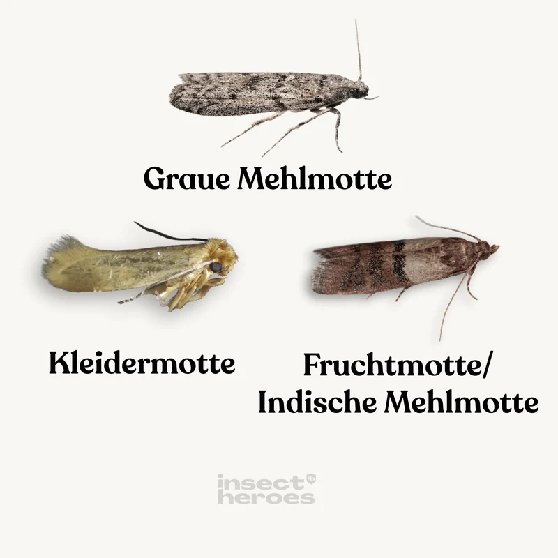 Tricho - gegen Lebensmittelmotten
