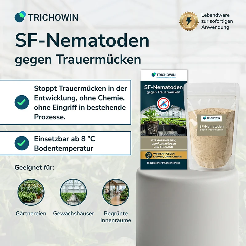 SF-Nematoden gegen Trauermücken