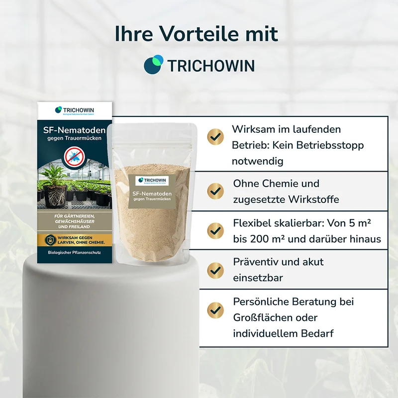 SF-Nematoden gegen Trauermücken