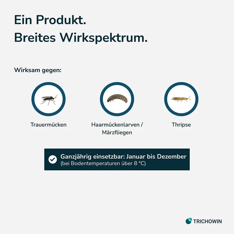 SF-Nematoden gegen Trauermücken