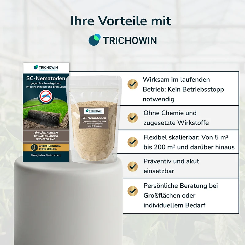 SC-Nematoden gegen Maulwurfsgrillen, Wiesenschnaken und Erdraupen