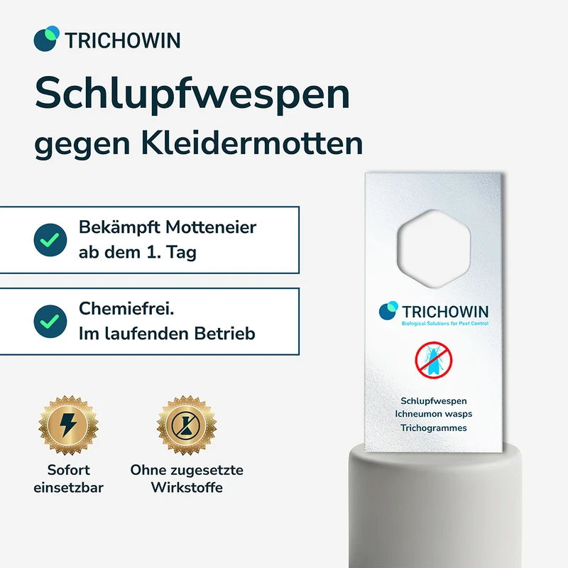 Schlupfwespen gegen Kleidermotten